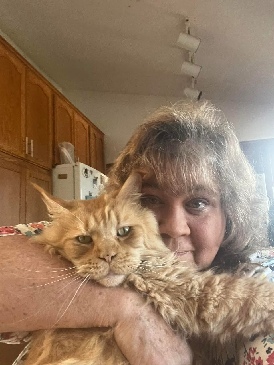 Kat Doring of Kats Kits holding one of her red Maine Coon cats at home in Farmington, Minnesota